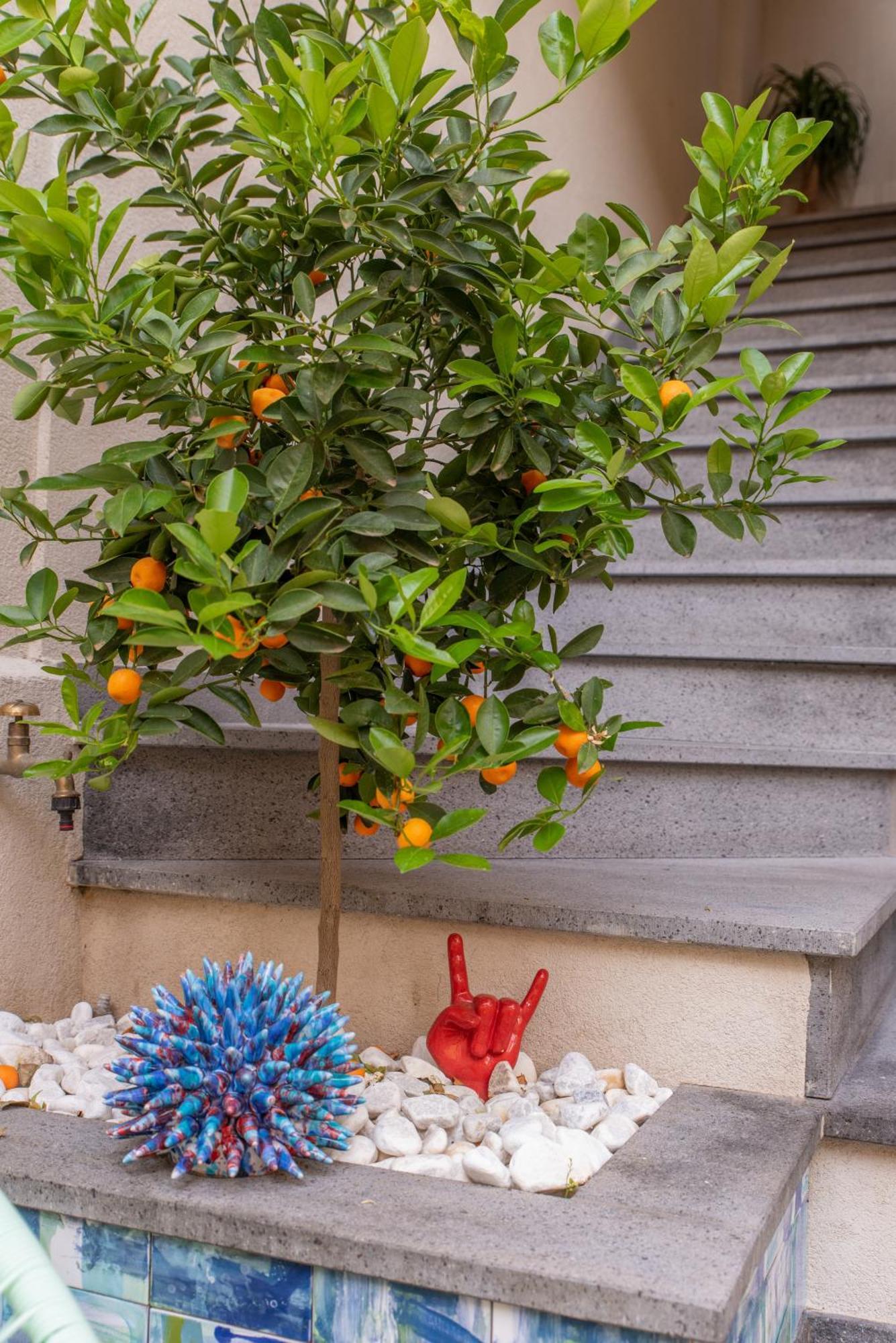 Villa D'Orville Luxury Suites 陶尔米纳 外观 照片
